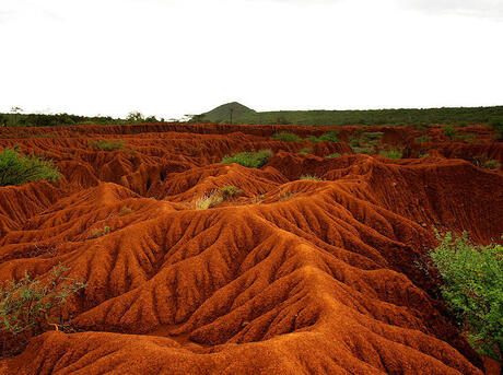 erosion degradation overgrazing threats kenya pericoli worldwildlife foreste