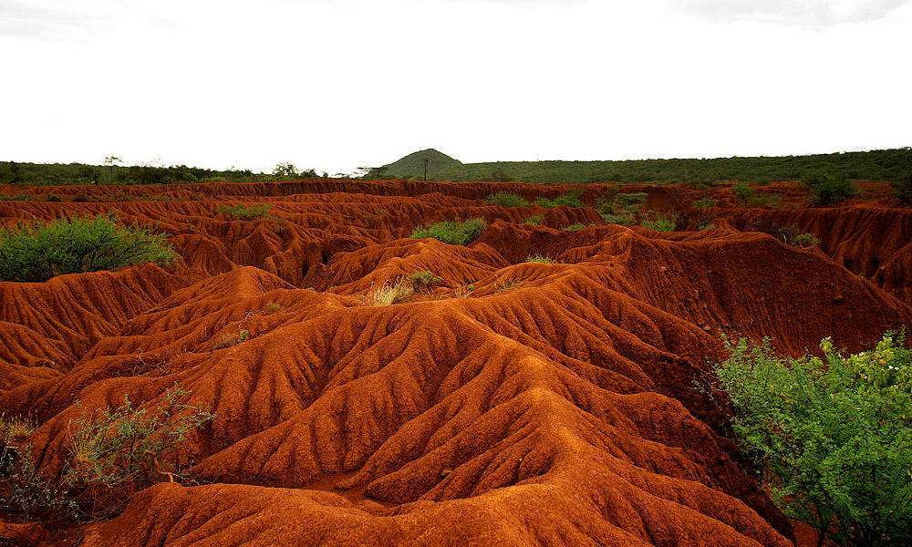 Soil Erosion And Degradation Photos WWF