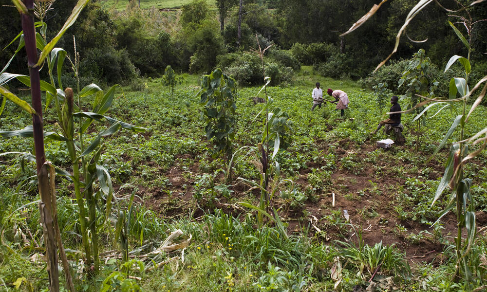 Repairing land that is vulnerable to erosion