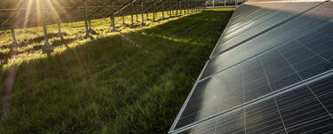 Solar panels stretch across a field as the sun sets