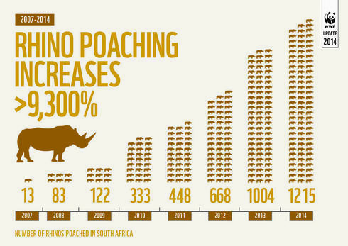 chart of rhinos