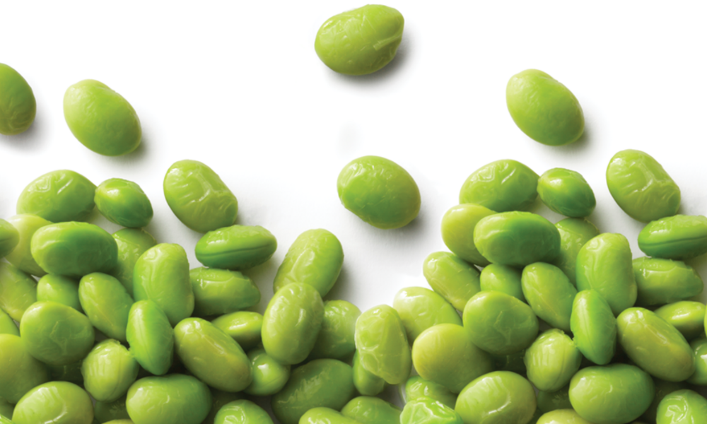 Soy: The Biggest Food Crop We Never Talk About | Magazine Articles | WWF