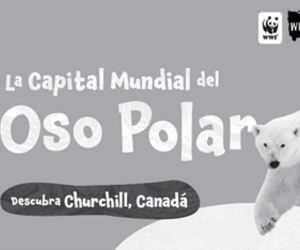 La Capital Mundial del Oso Polar (en blanco y negro)