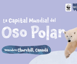 La Capital Mundial del Oso Polar (color)