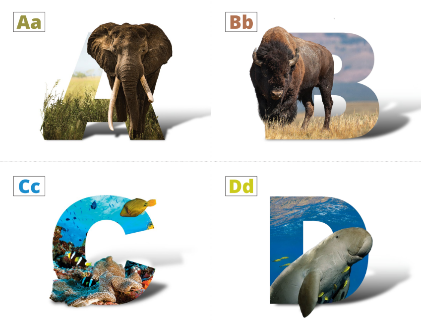 Teaching Resources: Google's 3D Animals