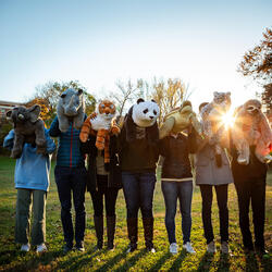 A group of WWF-US staff hold different kinds of plushies in front of their faces and stand in a field.