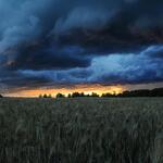 Stormy landscape in Ottowa