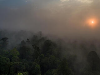 sun rising through mist over Thirty Hills forest in Sumatra