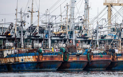 Landscape showing commercial fishing boats