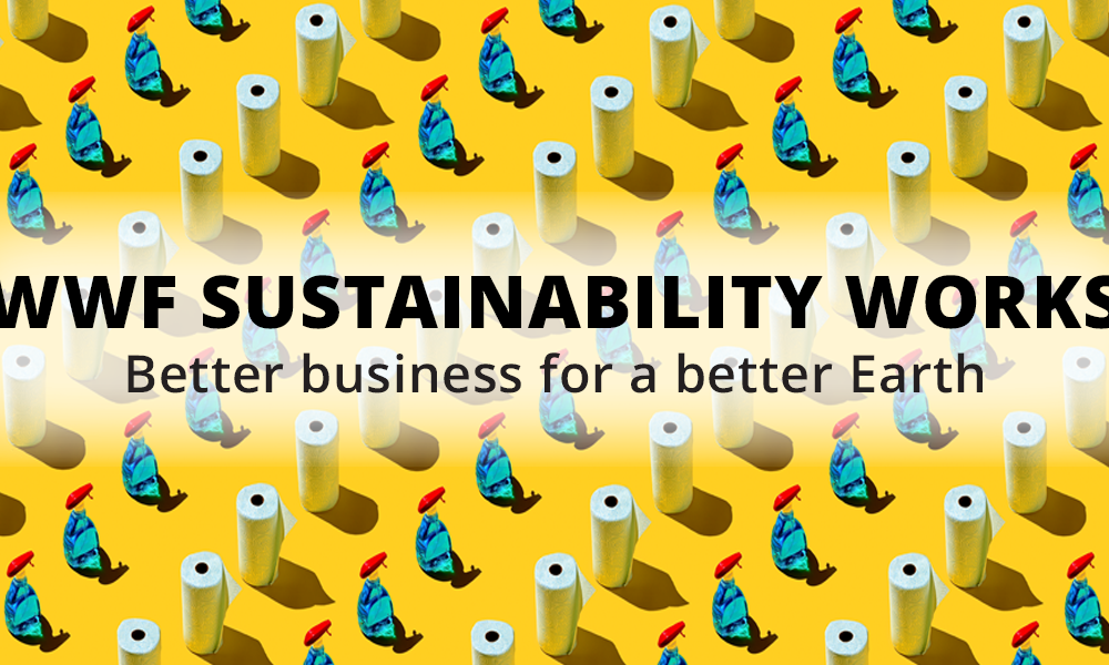 better-business-for-a-better-earth-blog-posts-wwf