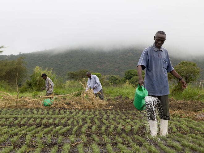 Revive African tradition and organic practice