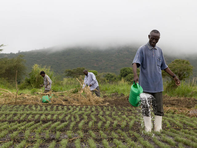 Sustainable Farming Practices for Small-Scale Farmers