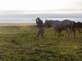 Ryan Sexson, getting the horses ready to move cattle in the Sandhills of Nebraska, United States
