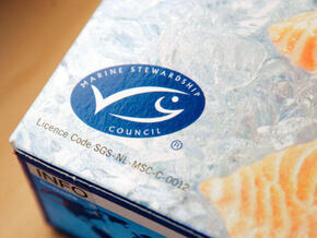 MSC certified sustainable seafood
