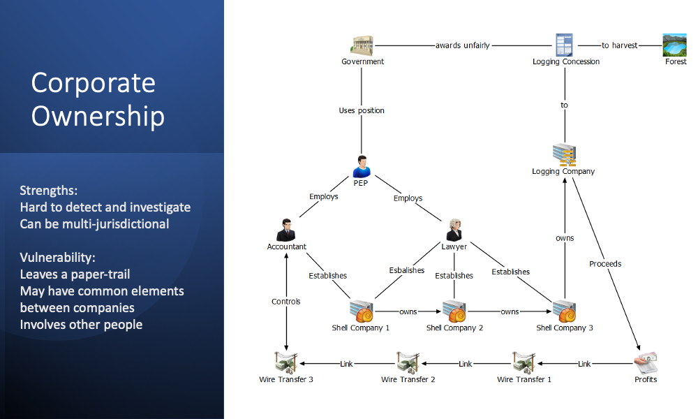 A diagram explaining corporate ownership