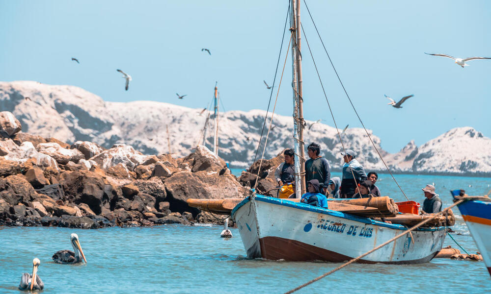 Fishermen coming back from fishing. North of Peru. Boat. Artisanal fishing.