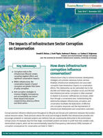 The Impacts of Infrastructure Sector Corruption on Conservation Brochure