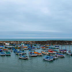 The Regional Fishermen Meeting (Interpez), organized by the WWF Peru Marine Program and the Artisanal Fisheries Cooperative of La Islilla and La Tortuga. 