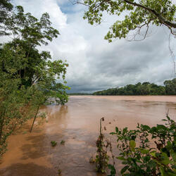 Rio Tambopata-View from the Kerenda Homet refugio, Located in Puerto Maldonado, Peru