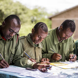 TNRC Where are the weakest links in the illegal wildlife trade enforcement chain? Lessons from corruption risk assessments with agencies in three countries
