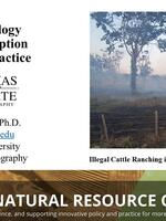 Political Ecology in Anti-Corruption Efforts and Practice Brochure