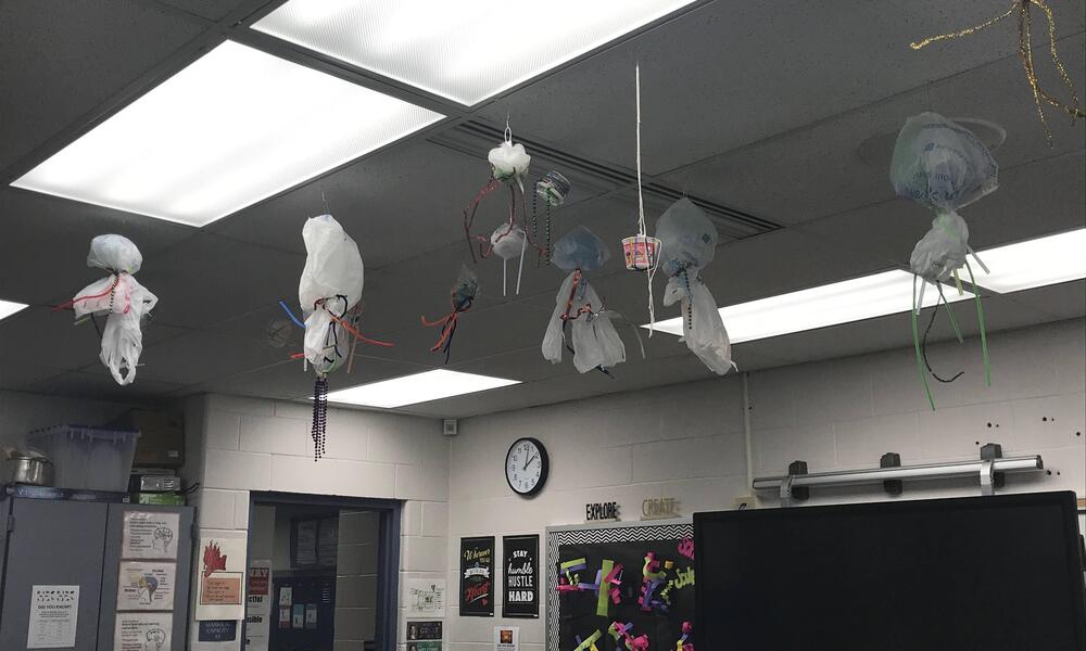 Taylor Halliday feature on wild classroom spotlight