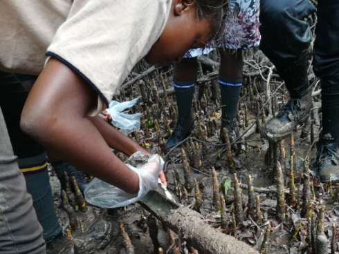 A researcher tests a soil core