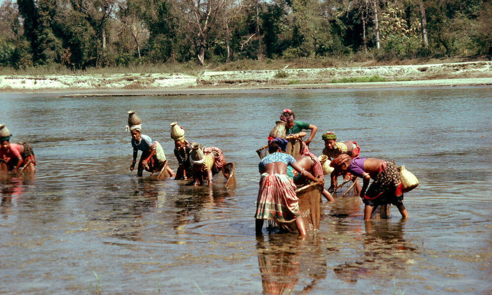 A group of women fishing in a clear stream