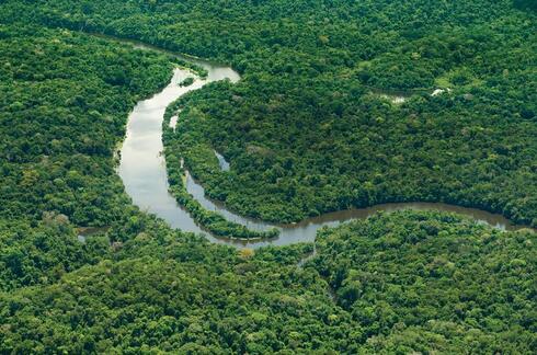 The Amazon and its tributaries
