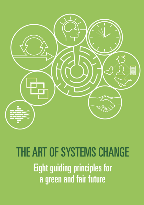 The Art of Systems Change