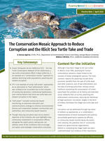 The Conservation Mosaic Approach to Reduce Corruption and the Illicit Sea Turtle Take and Trade Brochure