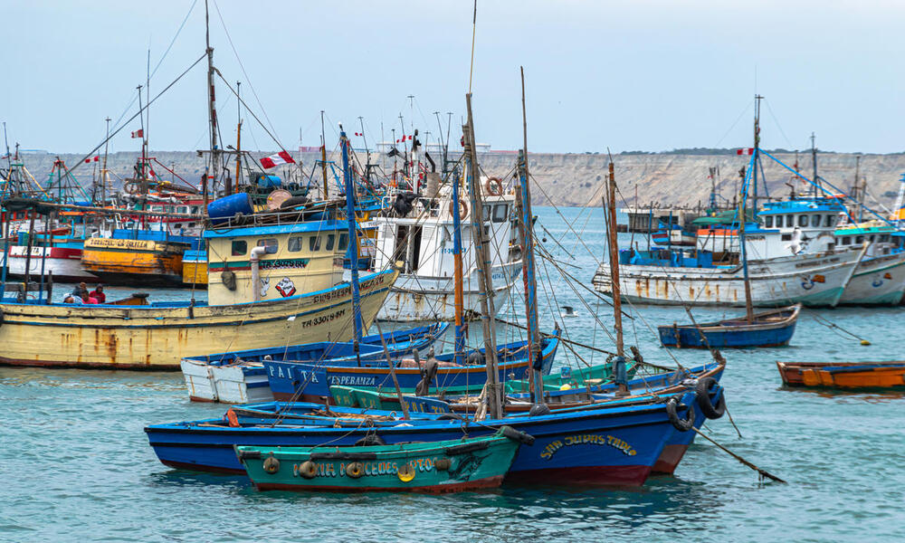 A cluster of small Peruvian fishing boats colored blue, green, yellow, and white that are moored in a secluded harbor on a hazy day.