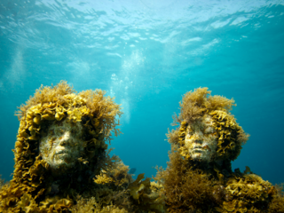 The Silent Evolution. Cancun, Mexico, 2011