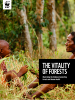 The Vitality of Forests Brochure