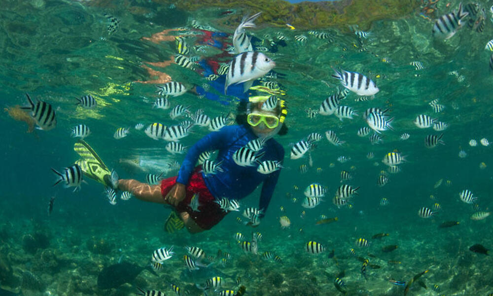 Ten Things to Take on Your Snorkeling Adventure | Blog Posts | WWF