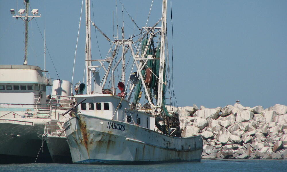 Gulf of California Overfishing