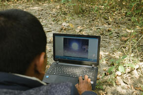 Researcher looks at tiger image from camera trap