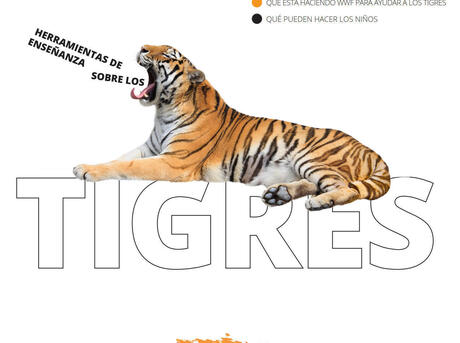 Herramientas Completas sobre los Tigres