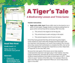 A Tiger's Tale Lesson Plan