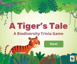 A Tiger's Tale Trivia Game