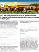 Traceable DCF Beef and Leather - WWF Brochure