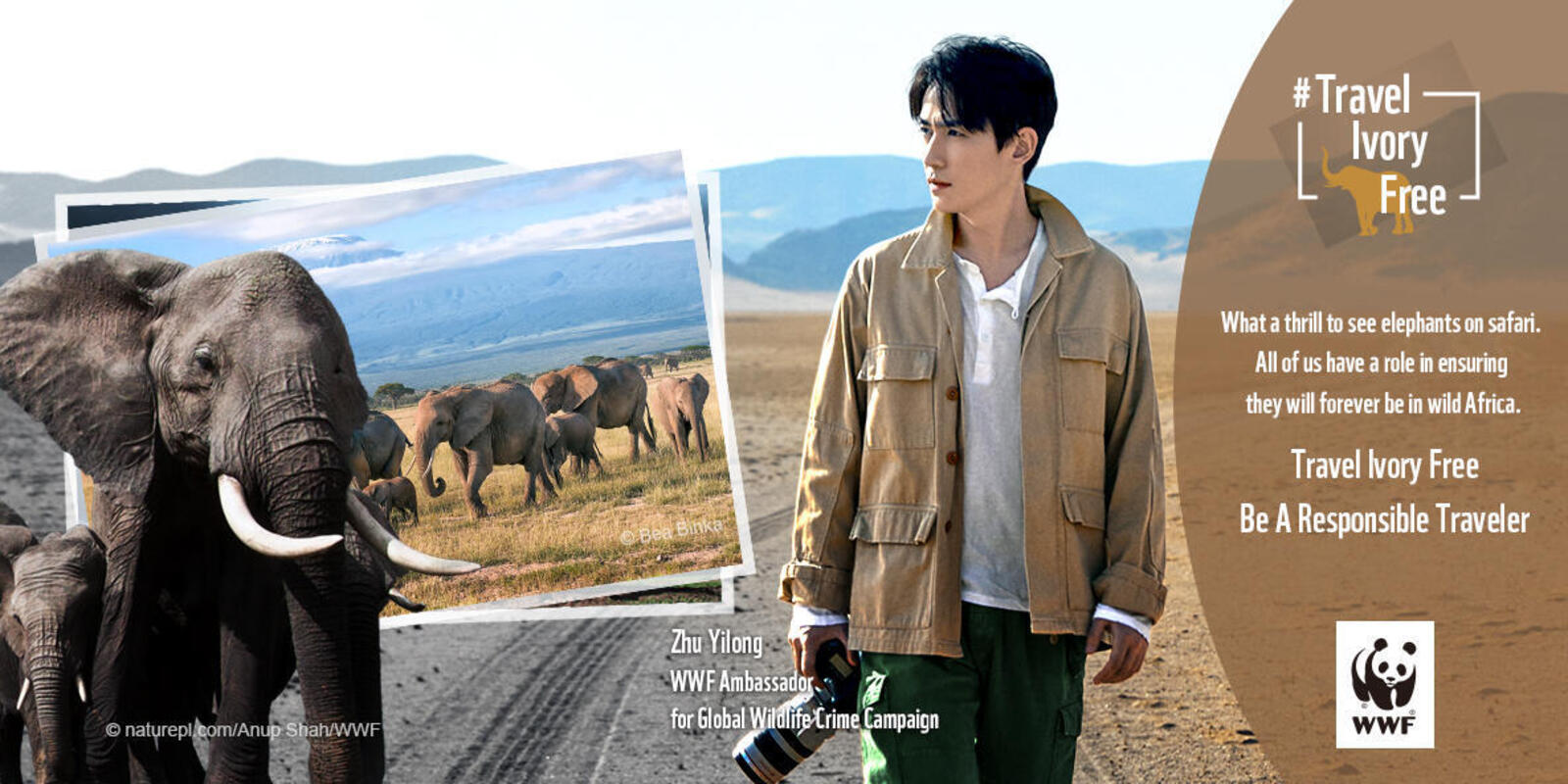 Still from ad saying travel ivory free with young man with camera looking at elephant