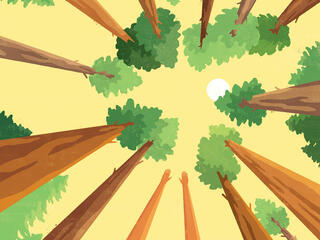 Illustration looking up at trees and sky