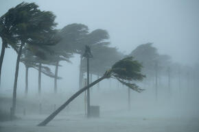 Trees bend in the tropical storm wind along North Fort Lauderdale Beach Boulevard as Hurricane Irma hits the southern part of the state in Fort Lauderdale, Florida.