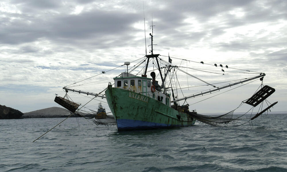 Tropical Shrimp Fishing Boat