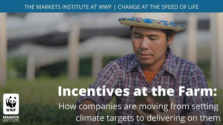 Rectangular Twitter social share of a farmer with text that reads 'Incentives at the farm: how companies are moving from setting climate targets to delivering on them'