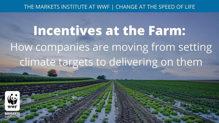 Rectangular Twitter share of crop rows with the text 'Incentives at the farm: how companies are moving from setting climate goals to delivering on them'