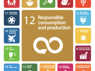 United Nations Sustainable Development Goal 12: responsible production and consumption. 