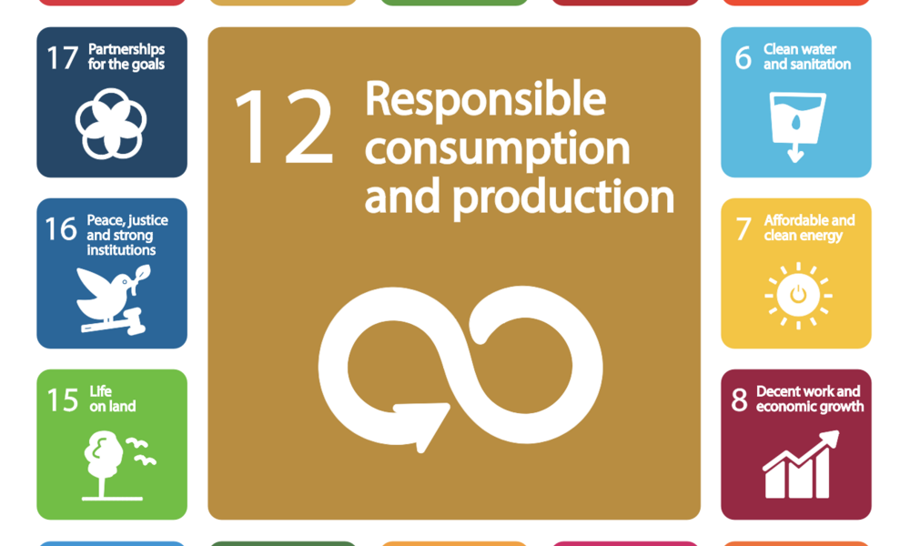 United Nations Sustainable Development Goal 12: responsible production and consumption. 