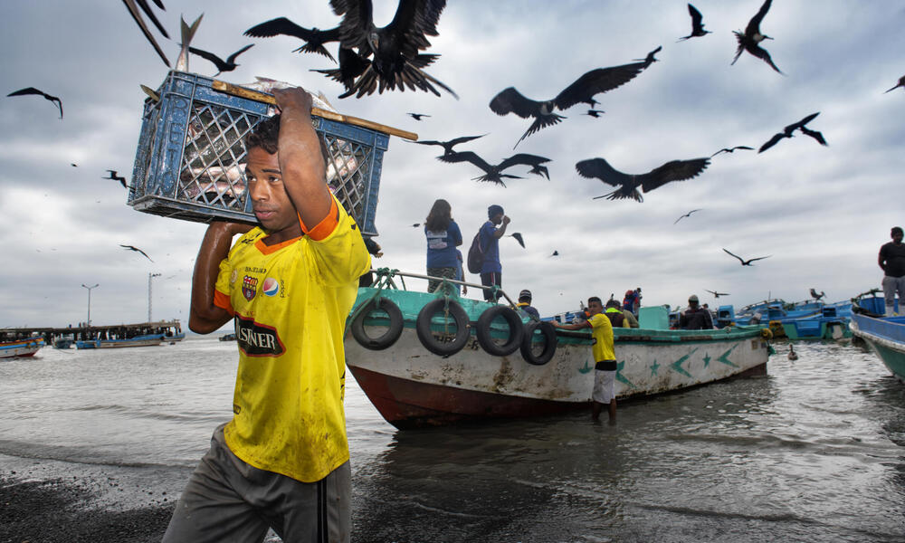 Go further to weed out litter, overfishing as more people turn to fishing  during pandemic - TODAY